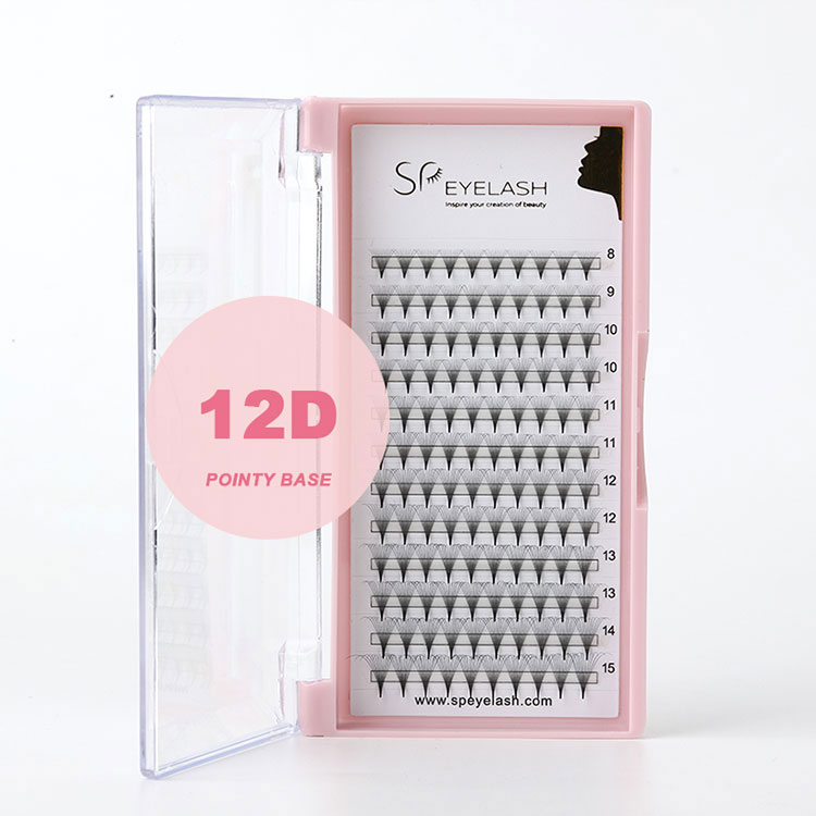12d Promade fans fransar