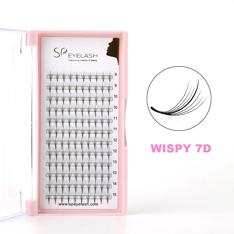 7d wispy fransar